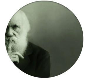 Charles Darwin, revolutionary keeper of evolutionary secrets (courtesy: Tomatobubble.com)