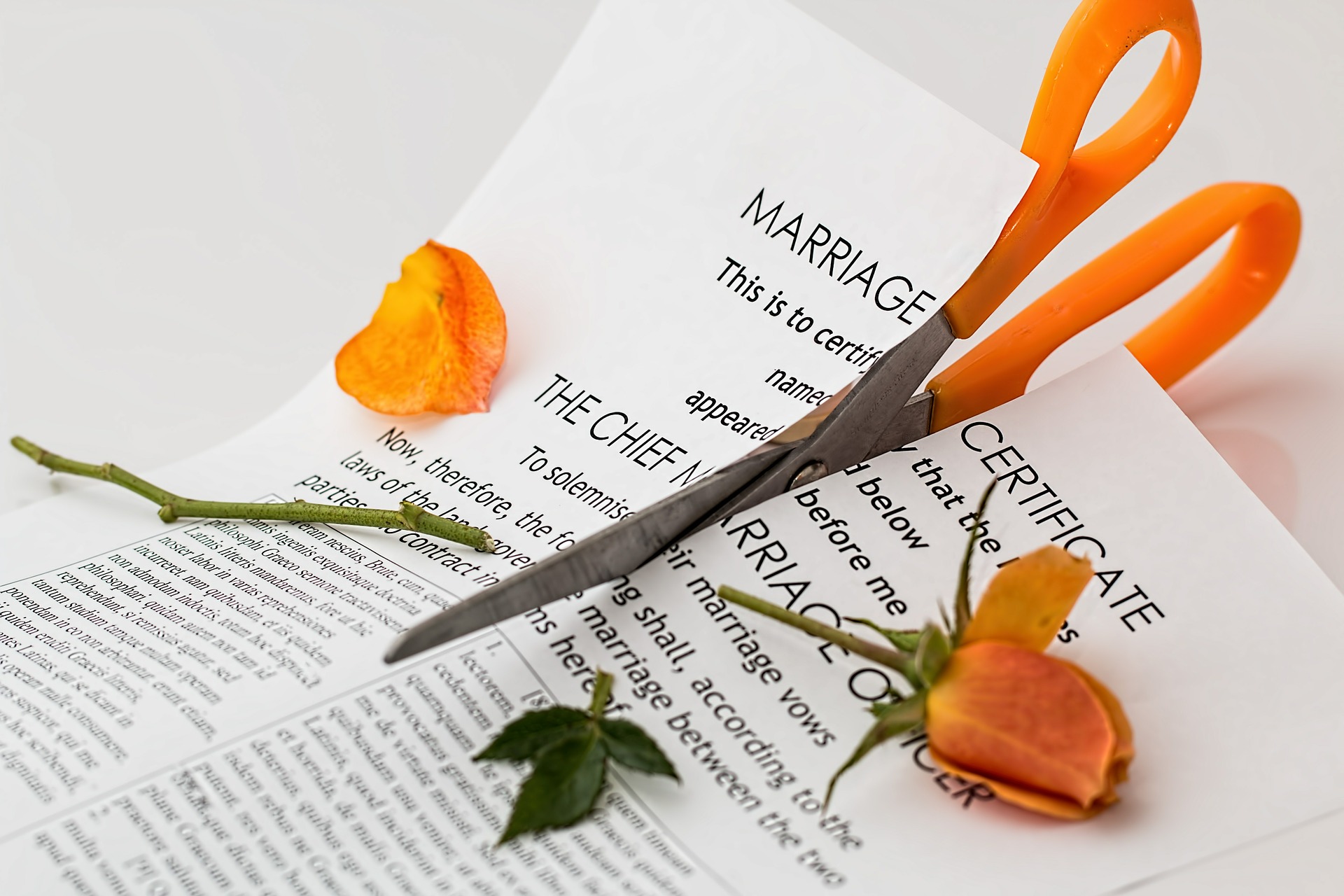 coparenting through divorce