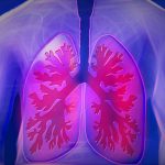 asthma and lungs