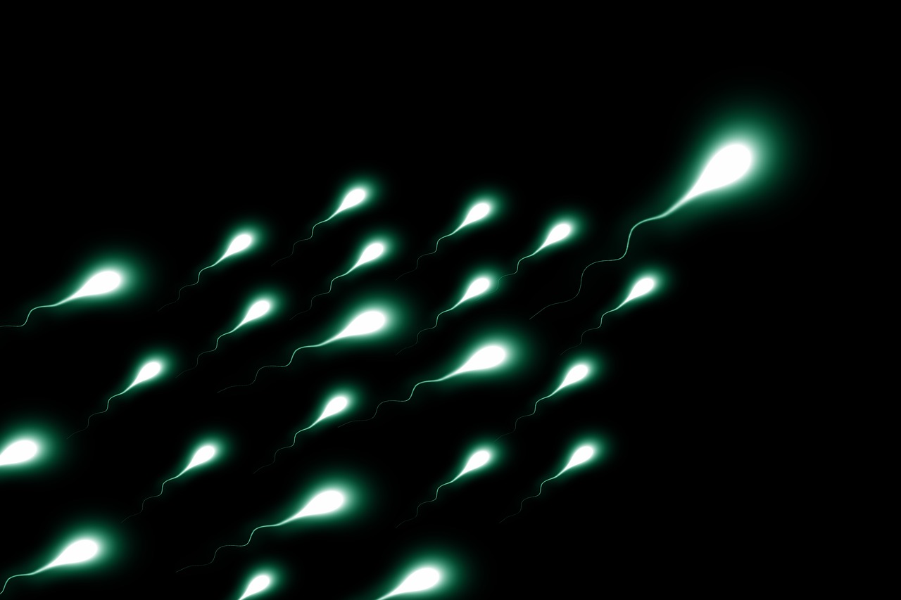 sperm count semen analysis